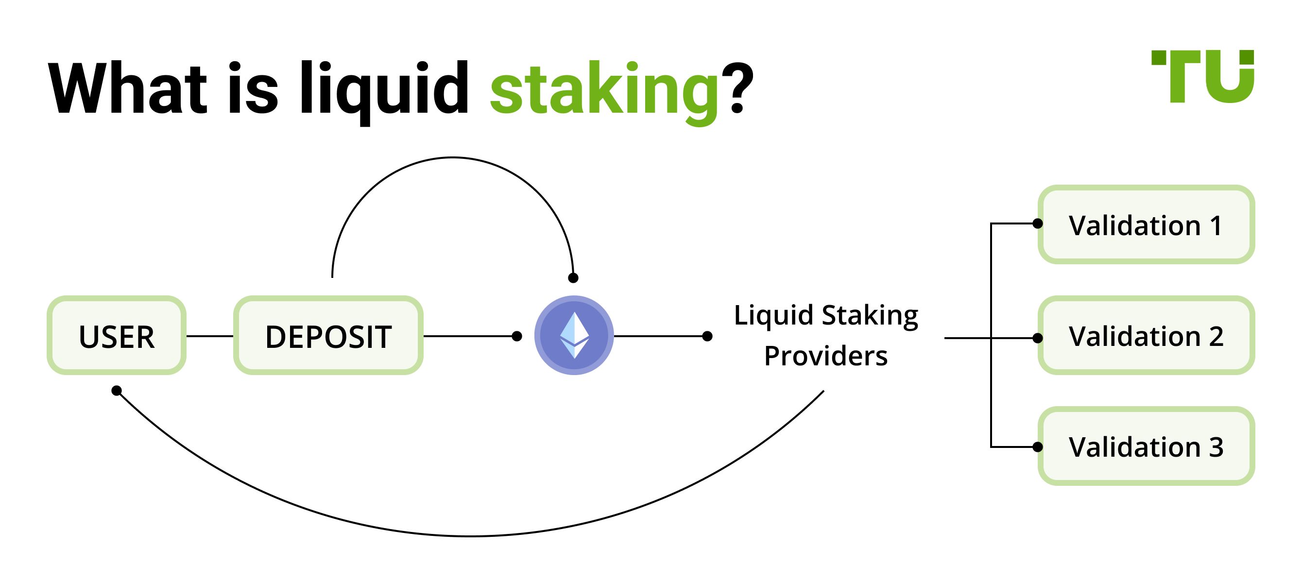 Why Liquid Staking Dominated