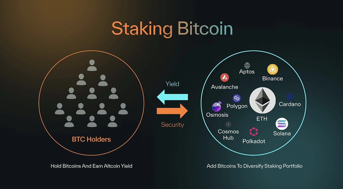 Multipli cross-asset staking portfolio diversification