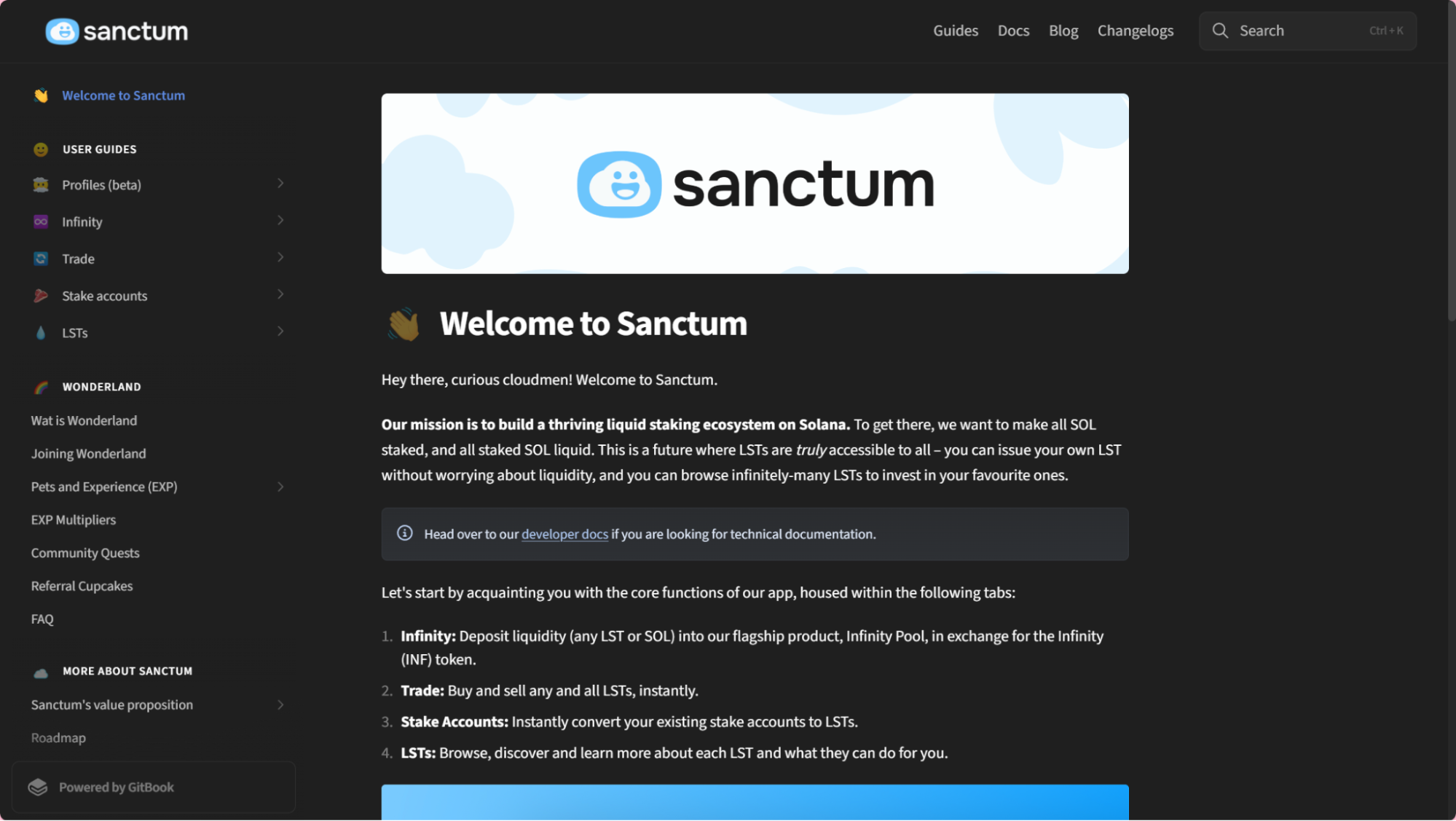 Sanctum Infinity INF token Solana interface